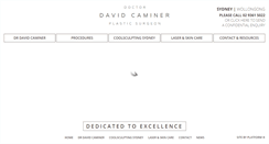 Desktop Screenshot of drdavidcaminer.com